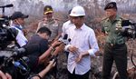 Jokowi Masuki Lahan Kebakaran Hutan Tanpa Masker