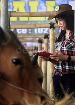 SPG Cantik Penjual Sapi Qurban