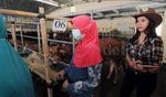 SPG Cantik Penjual Sapi Qurban