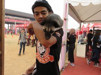 Contohnya komunitas pecinta musang, Keluarga Musang Lovers Pontianak, membawa hewan musang di Honda Speed Heroes Show di Pontianak, akhir pekan lalu.