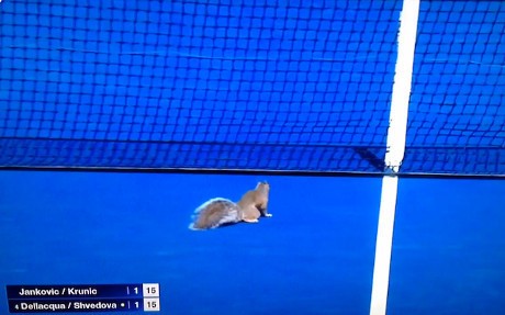 Penyusup Mungil yang Bikin Tertawa di Partai AS Terbuka