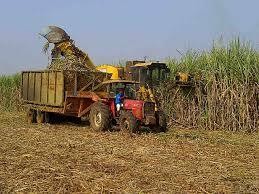 21 Proyek Pabrik Gula Terkendala Lahan