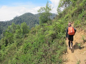 Hari ke-2: Dicegat OPM di Tengah Hutan Papua