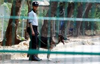 Polisi dengan anjing pelacak disiagakan.