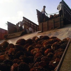 10 Tahun RI Terlena Jualan Komoditas, Industri Manufaktur Terlupakan