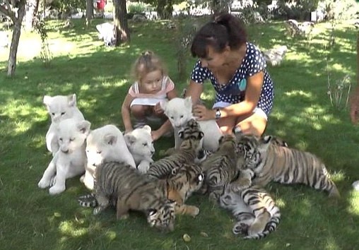 Mungkin Ini Cara Paling Gemas untuk Kampanye Sayang Hewan