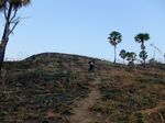 Bukit Cinta di Labuan Bajo, Romantis Banget!