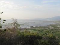 Dulunya Danau Limboto memiliki kedalaman 32 meter dengan luas mencapai 3 ribu hektar. Tapi kini kedalamannya berkurang, yaitu hanya 5-8 meter (Rangga/detikTravel)