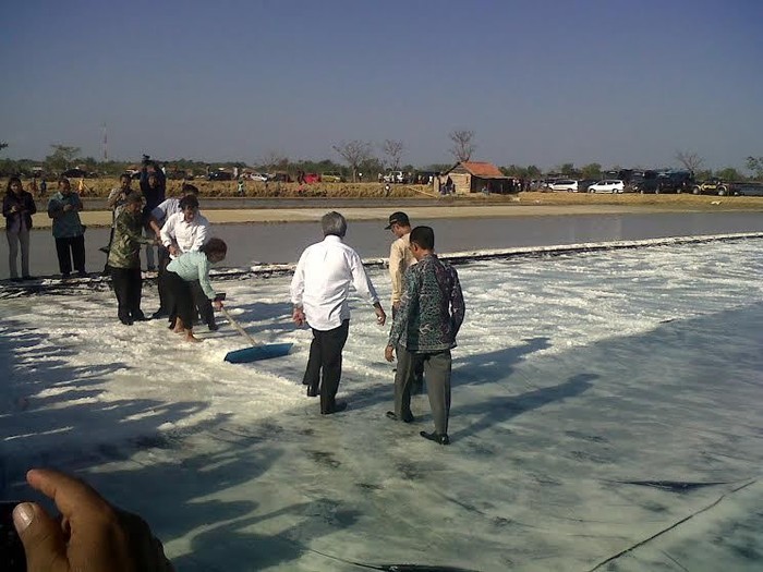 Bertelanjang Kaki, Menteri Susi Terjun ke Ladang Garam Madura