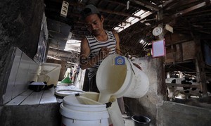 RI Impor Susu 221,2 Juta Kg/Tahun, Kok Bisa?