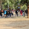 Fans Bon Jovi Serbu GBK Fans Bon Jovi Serbu GBK