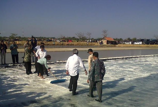 Ini 3 Permintaan Susi ke Jokowi Soal Impor Garam