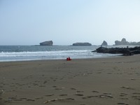 Salah satu daya tarik wisatawan di Pantai Watu Ulo, Jember adalah formasi bebatuan dengan permukaan mirip sisik ular. Batu tersebut, di sebelah kanan gambar, disebut-sebut sebagai ular raksasa yang tertidur (Sastri/detikTravel)