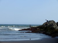 Formasi bebatuan ini terletak di sebelah kanan pantai, jika kita berdiri menghadap laut lepas. Bebatuan inilah yang membuat pantai tersebut dinamakan Watu Ulo alias Batu Ular (Sastri/detikTravel)