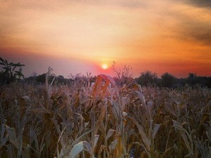 3 Spot Berburu Sunset Bareng Pacar di Surabaya