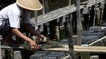 Melihat Budidaya Kepiting di Cilacap