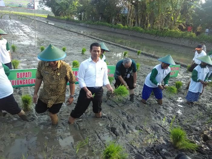 Anggarkan Rp 200 Miliar, Mentan Mau Bangun 1.000 Bulog Mini