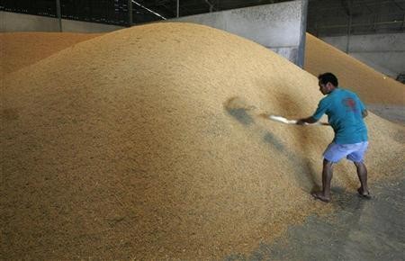 Jangan Takut Gagal Panen, 15 Juta Petani akan Dilindungi Asuransi