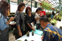 Beberapa pengunjung membeli kaktus yang unik. Kaktus ini bisa jadi oleh-oleh kalau liburan ke Kebun Raya Cibodas (Fitraya/detikTravel)