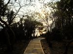Jember Punya Spot Sunset Paling Romantis