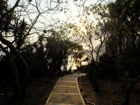 Tak butuh waktu lama untuk sampai di puncak bukit karang, hanya 10-15 menit mendaki anak tangga (Sastri/detikTravel)