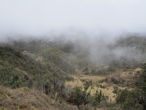Padang Savana Tertinggi di Indonesia, Ada di Papua