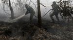 Pemadaman Kebakaran Hutan Terus Dilakukan
