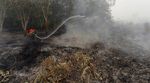 Pemadaman Kebakaran Hutan Terus Dilakukan
