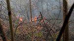 Pemadaman Kebakaran Hutan Terus Dilakukan