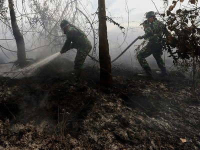 Pemadaman Kebakaran Hutan Terus Dilakukan