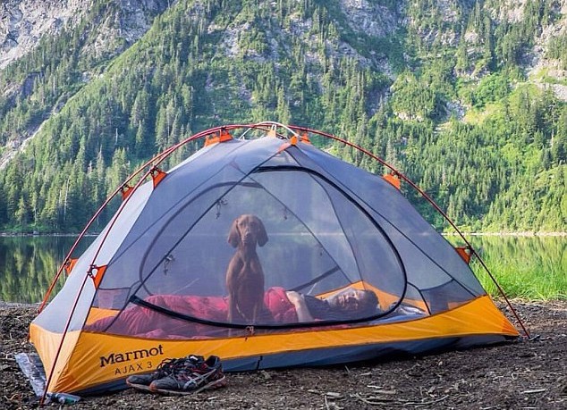 Akun Instagram Ini Bikin Kamu Ingin Traveling dengan Anjing