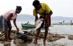 Keindahan Pesona Alam Pantai Mali NTT