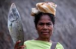 Keindahan Pesona Alam Pantai Mali NTT