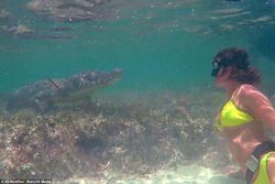 Aksi Gila nan Mengagumkan Model Cantik dengan Buaya