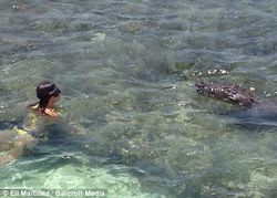 Aksi Gila nan Mengagumkan Model Cantik dengan Buaya