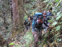 Siap-siap berjalan juga di pinggiran jurang yang kadang ada di kiri atau di kanan Anda. Jangan pernah terpisah dari rombongan agar tidak keluar dari jalur pendakian (Afif/detikTravel)