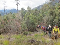 Perjalanan dari Desa Sugapa, dimulai dari ketinggian 2.100 mdpl. Pelan-pelan, ketinggiannya akan bertambah yang sangat membantu dalam proses aklimatisasi ketinggian sebelum ke Puncak Carstensz (Afif/detikTravel)