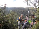 Hutan Papua yang Belum Pernah Dilihat Manusia