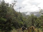 Hutan Papua yang Belum Pernah Dilihat Manusia