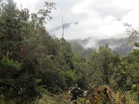 Beberapa trek pendakian punya kemiringan nyaris 90 derajat. Atur nafas dan gunakanlah trekking pole sebagai kaki ke tiga. Mental harus kuat, jangan sampai menyerah! (Afif/detikTravel)