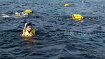 Peserta FAI Nikmati Snorkeling di Pantai Alor