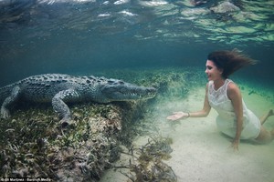 Fotografi Nekat, Berpose dengan Buaya Ganas