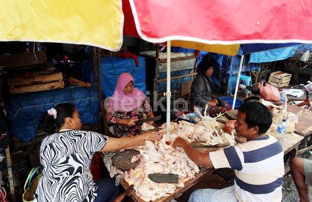 Ini Penyebab Harga Ayam Juli Melonjak, September Turun Drastis