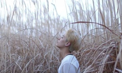 Happy Birthday! Ini Hadiah dari Amber Buat Fans f(x)