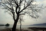 Mali, Pantai Eksotis Favorit Turis di Alor