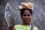 Mali, Pantai Eksotis Favorit Turis di Alor