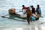 Pasar Tepi Pantai yang Fotogenik di Alor, NTT