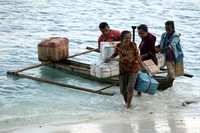 Para pedagang ikan dan hasil laut mayoritas datang dari seberang Pulau Alor Kecil dan Pulau Ampera menggunakan motor laut (Rengga/detikTravel)