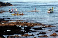 Pantai yang indah menjadi penghias mata, di tengah keramaian dan hiruk-pikuk pasar. Tak heran, tiap Kamis pasar itu selalu penuh orang dan wisatawan (Rengga/detikTravel)