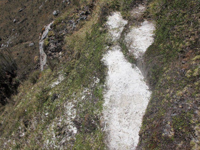 Misteri Pasir Pantai di Atas Awan Papua